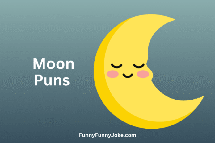 Moon Puns Moon Puns