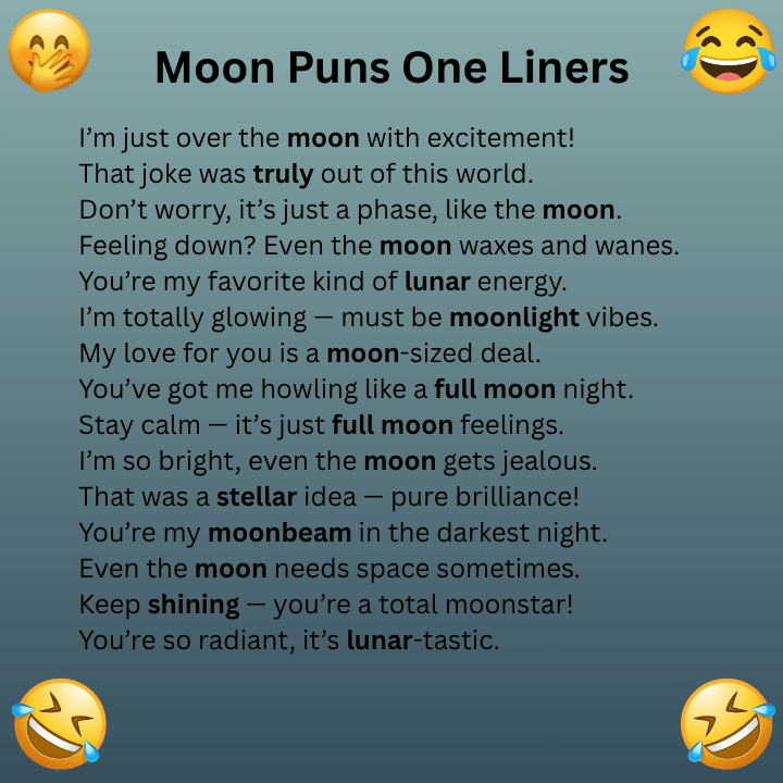 Moon Puns One Liners