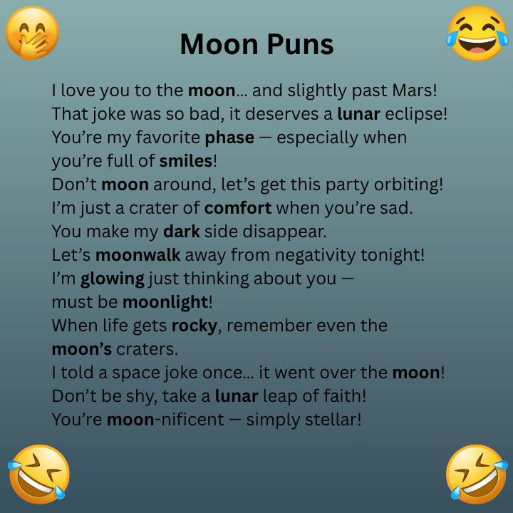 Moon Puns
