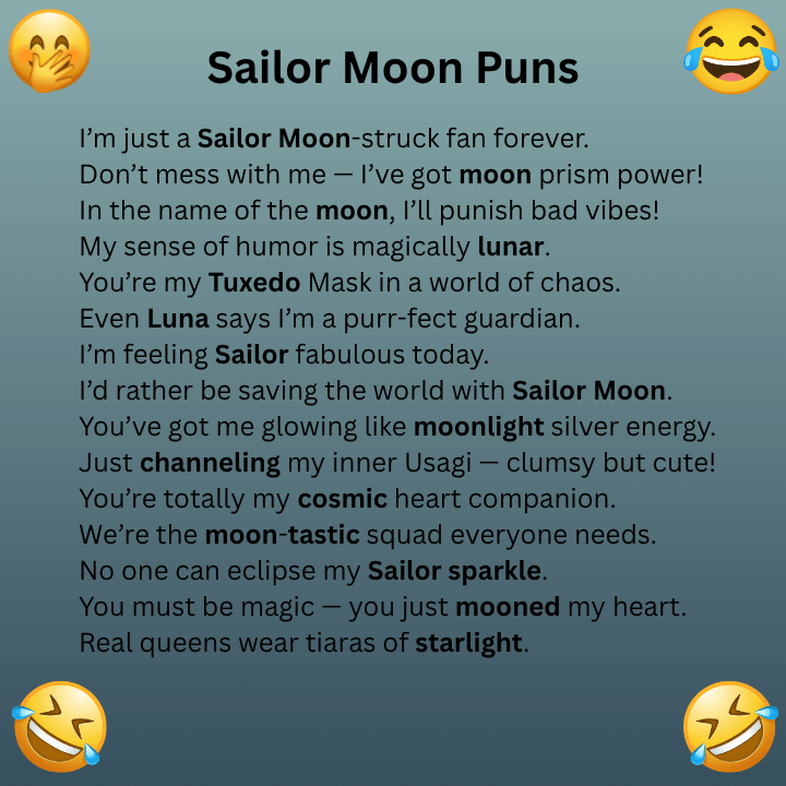 Sailor Moon Puns