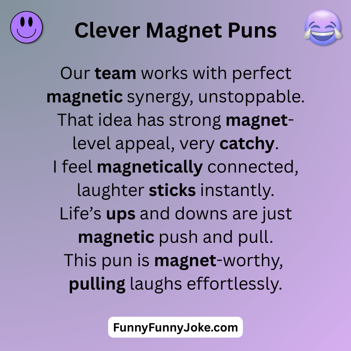 Clever Magnet Puns