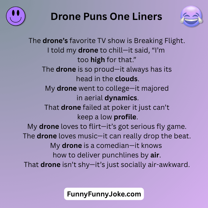 Drone Puns One Liners