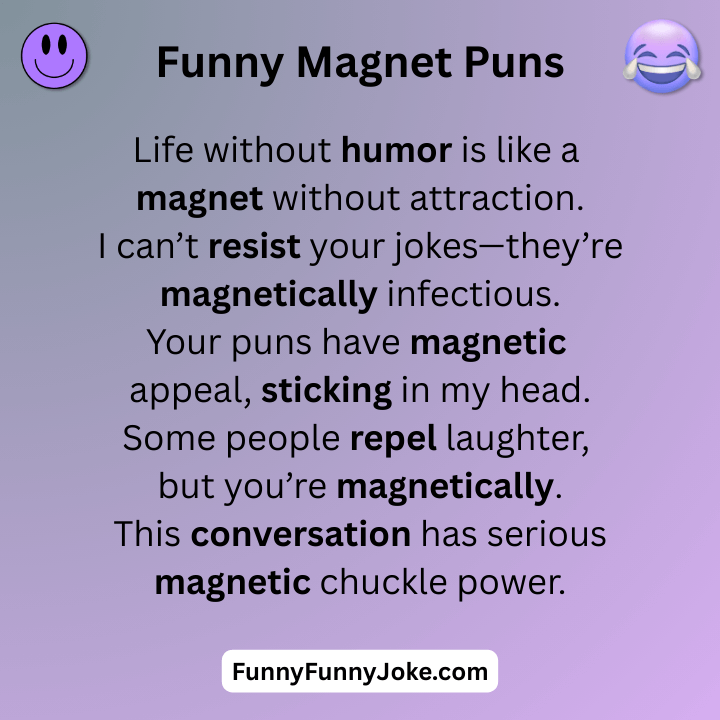 Funny Magnet Puns