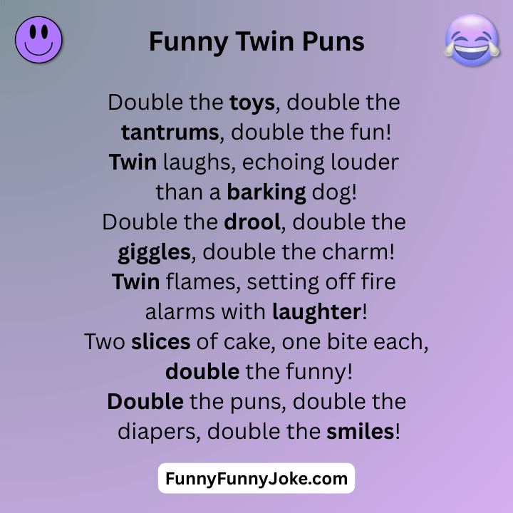Funny Twin Puns