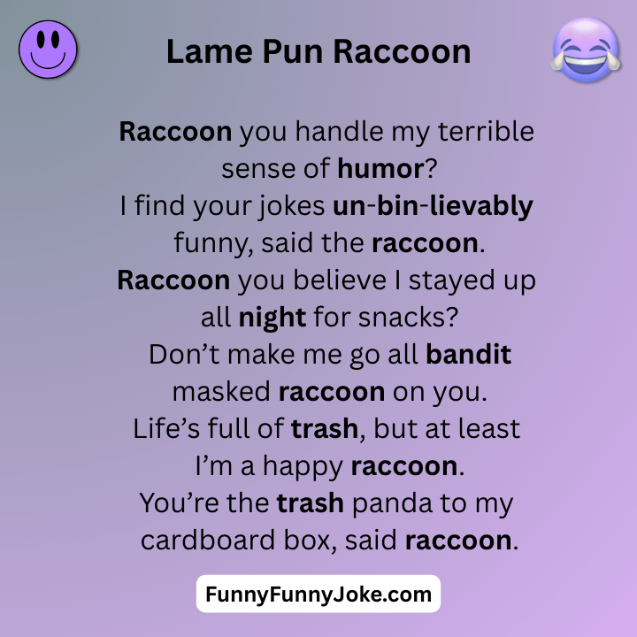 Lame Pun Raccoon