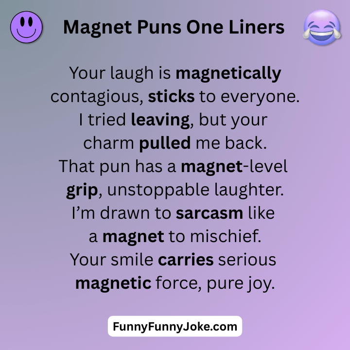 Magnet Puns One Liners