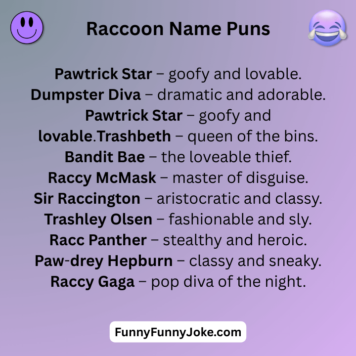 Raccoon Name Puns