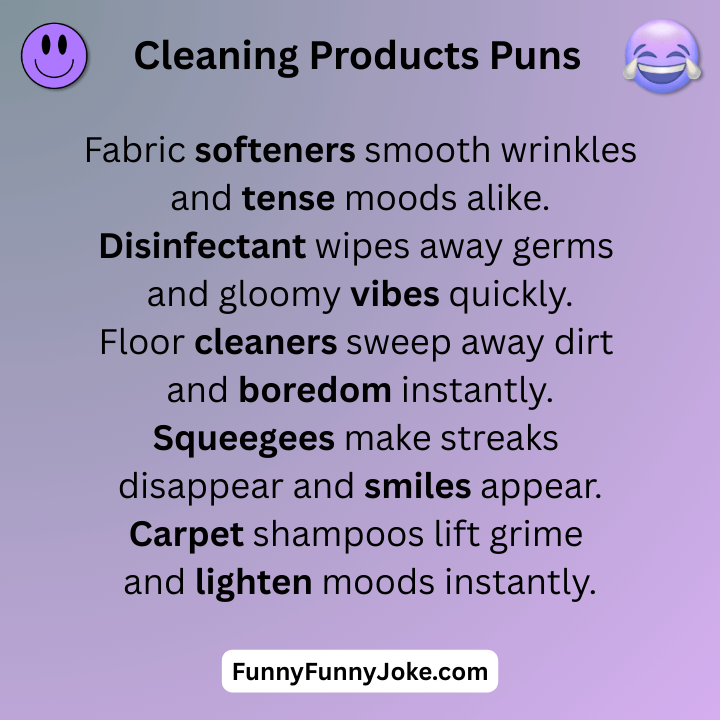 Cleaning Products Puns