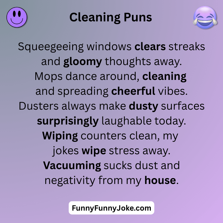 Cleaning Puns