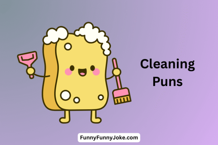 Cleaning Puns