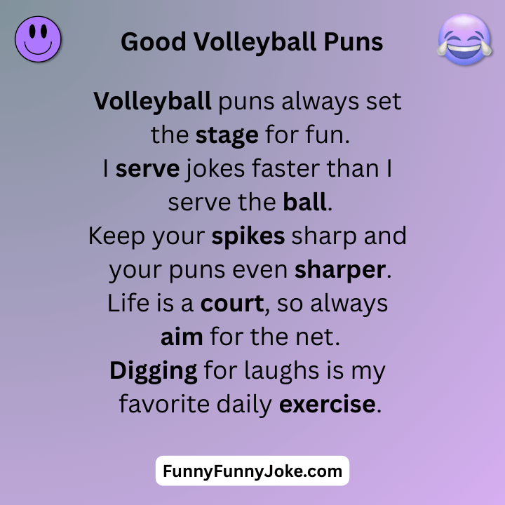 Good Volleyball Puns