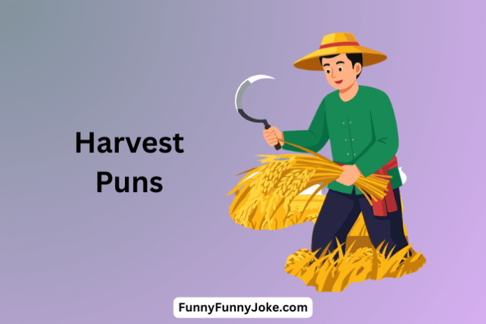Harvest Puns