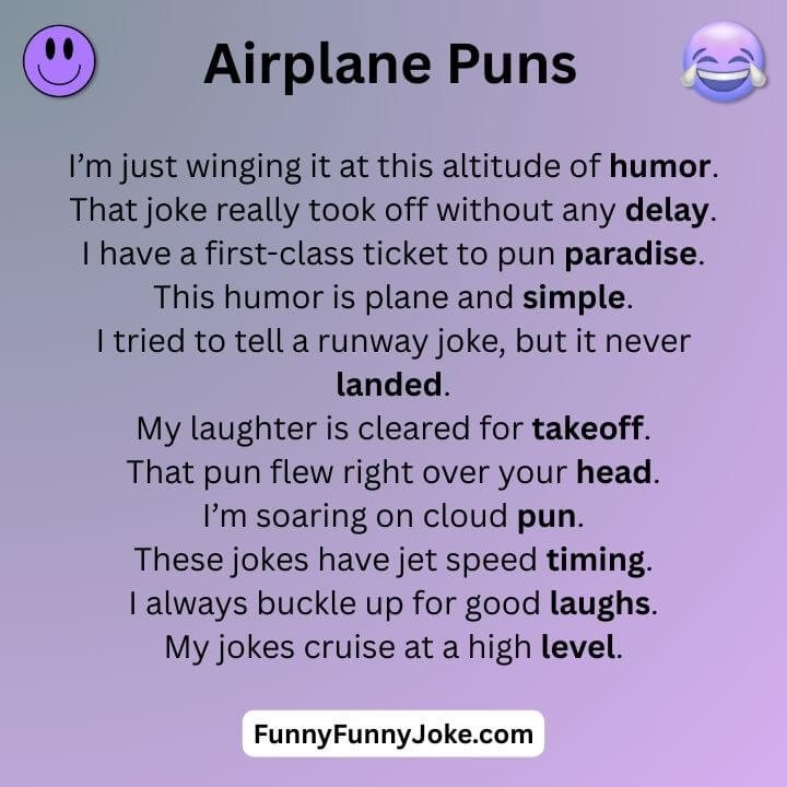 Airplane Puns 