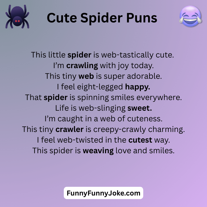 Cute Spider Puns