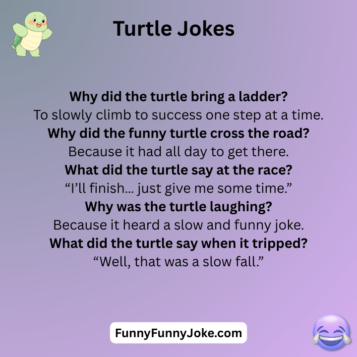 Turtle Jokes