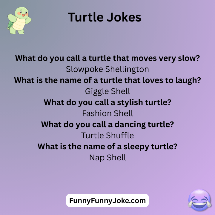 Turtle Jokes