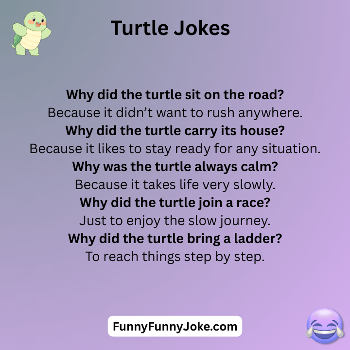 Turtle Jokes