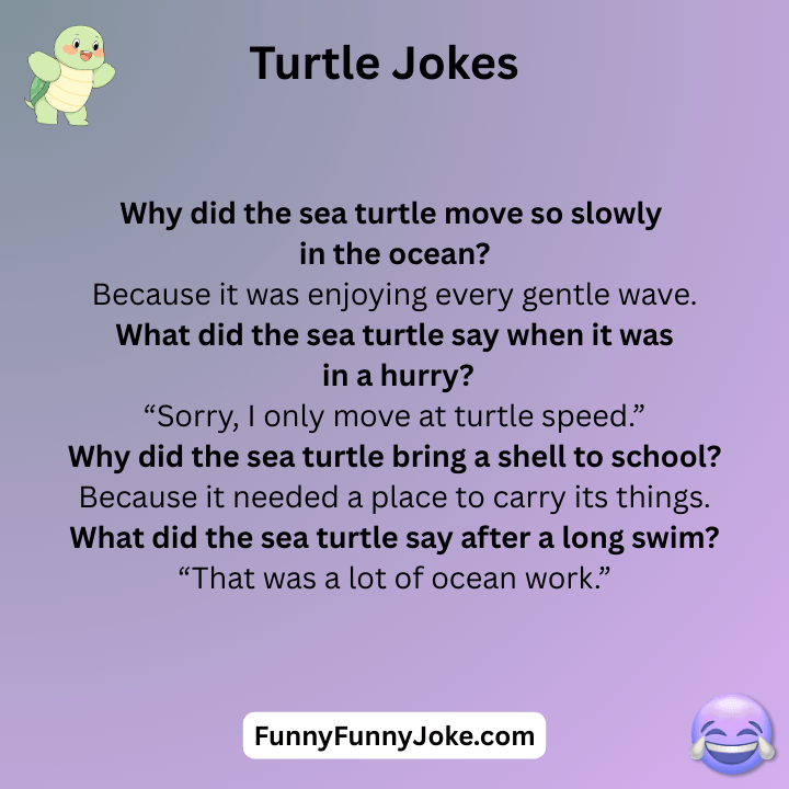Turtle Jokes