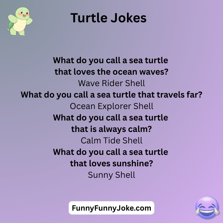 Turtle Jokes
