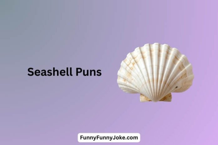 Seashell Puns
