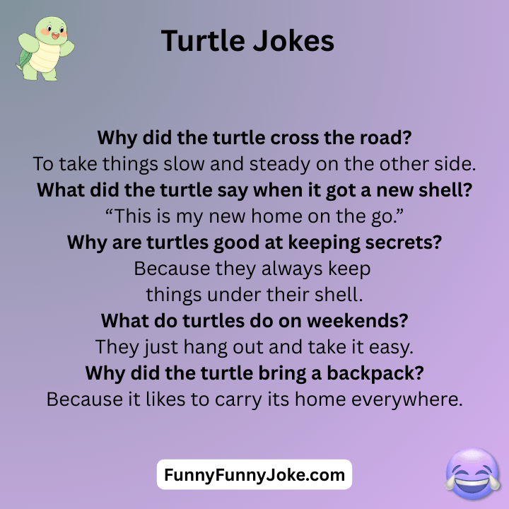Turtle Jokes
