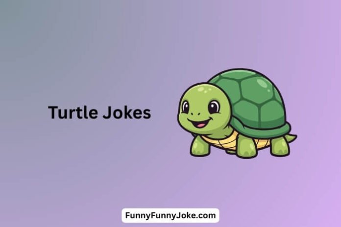 Turtle Jokes