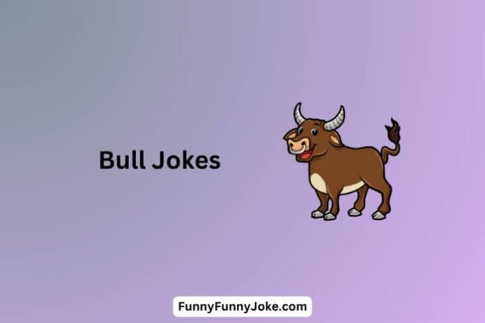 Bull Jokes