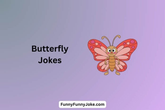 Butterfly Jokes