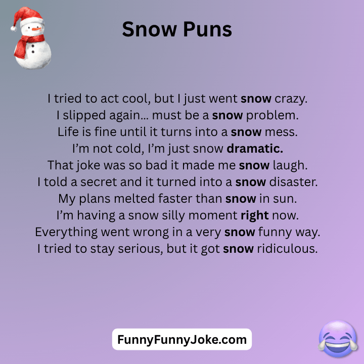 Funny Snow Puns