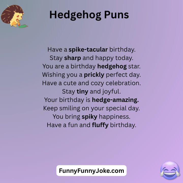 Hedgehog Birthday Puns