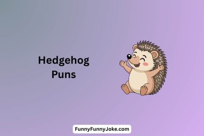 Hedgehog Puns