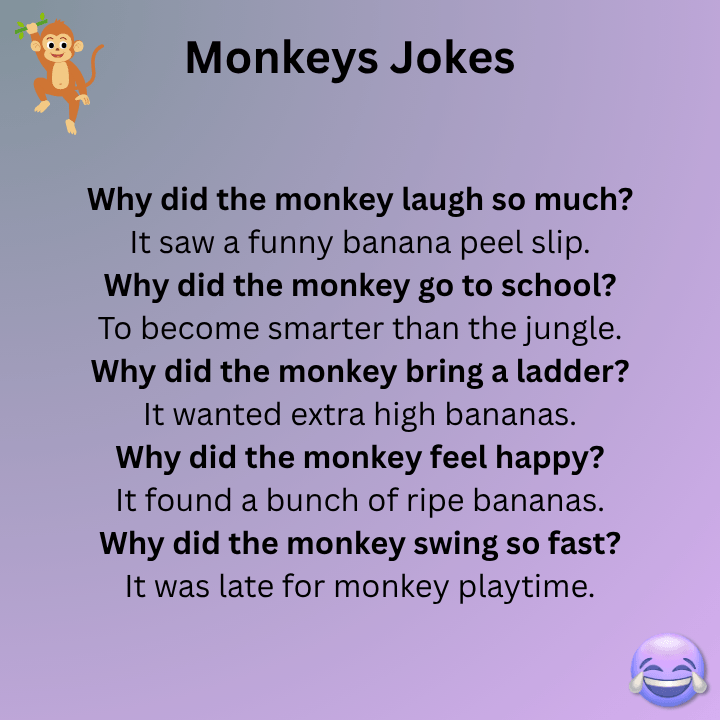 Monkeys Jokes