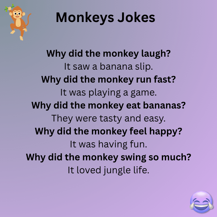 Short Funny Monkey Jokes