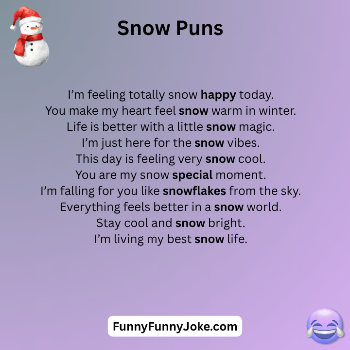 Snow Puns