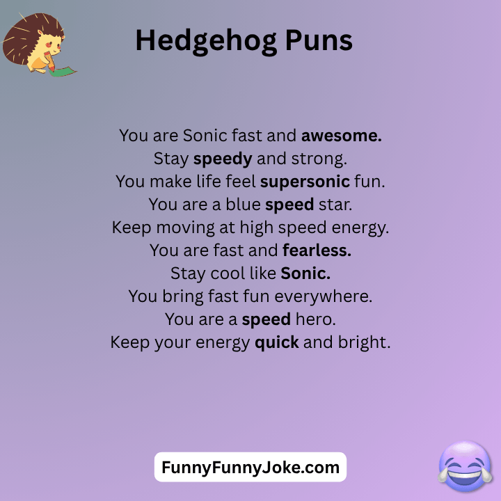 Sonic The Hedgehog Puns