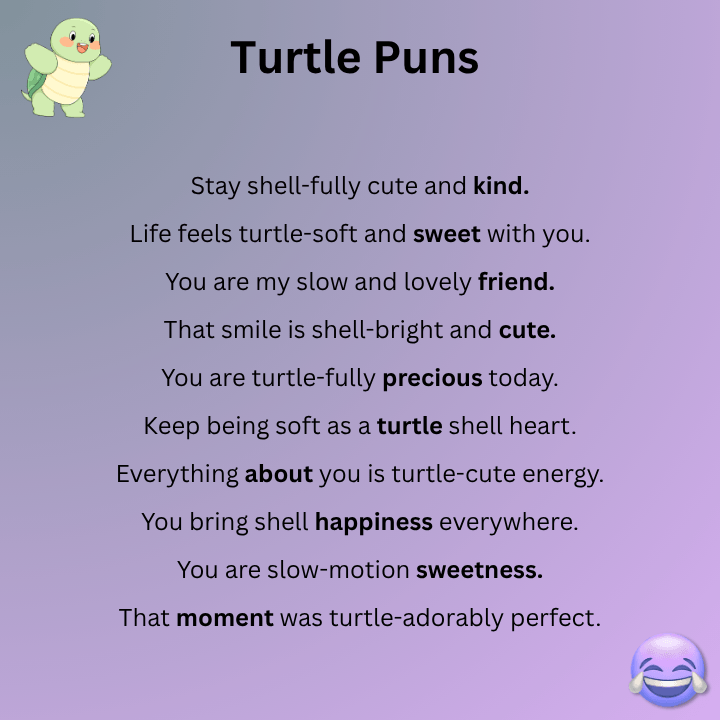 Cute Turtle Puns