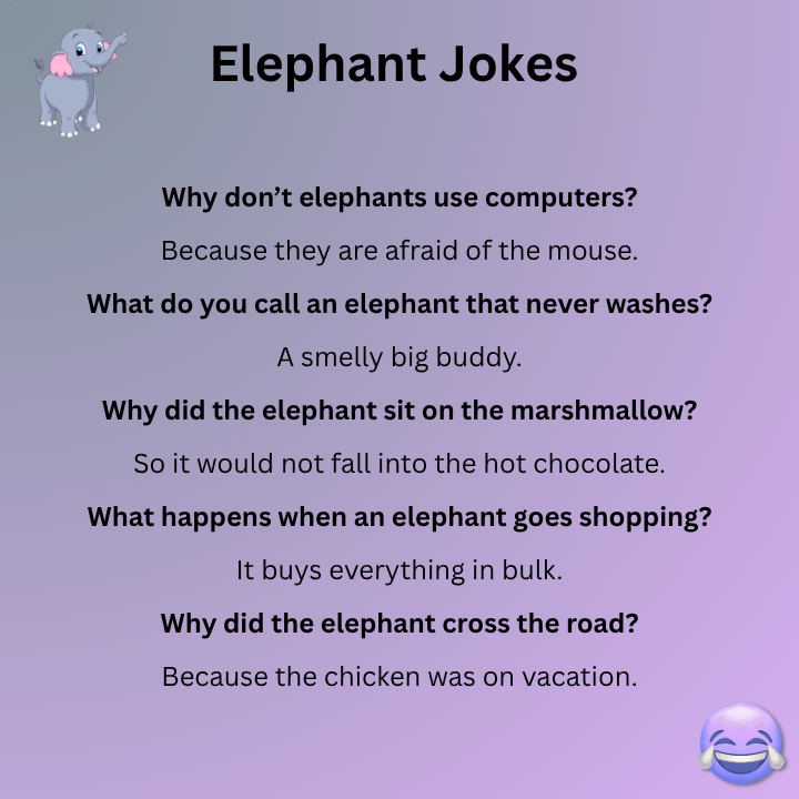 Elephant Jokes