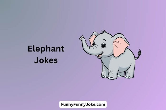 Elephant Jokes