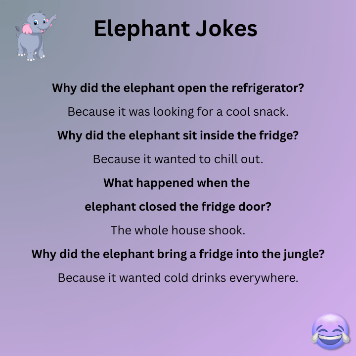 Elephant Jokes Refrigerator