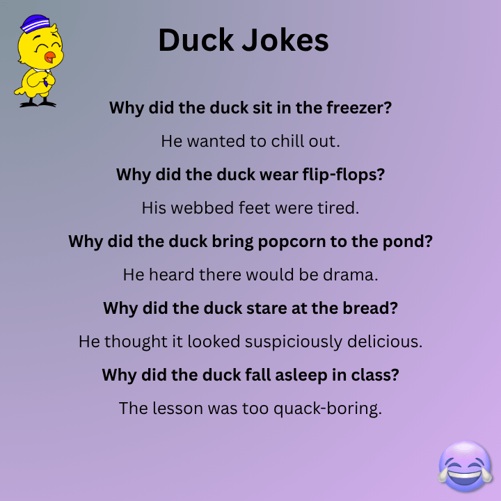 Funny Duck Jokes