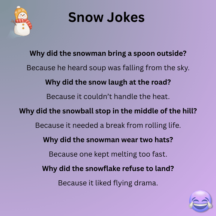 Funny Snow Jokes