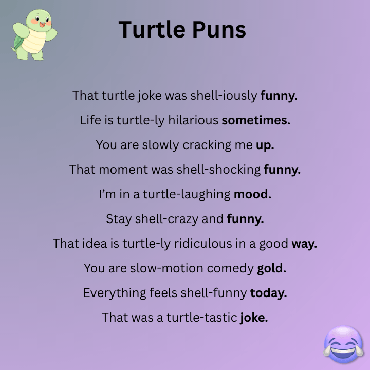 Funny Turtle Puns