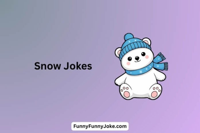 Snow Jokes