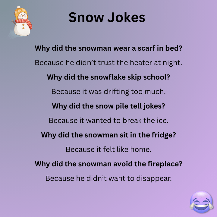 Snow Jokes Funny