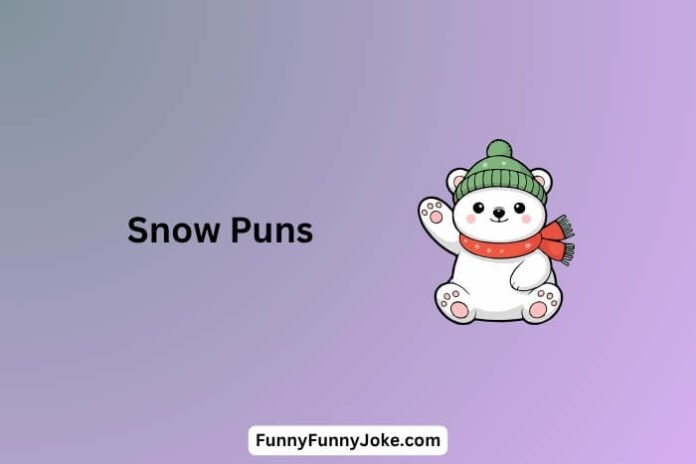 Snow Puns