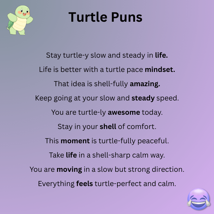 Turtle Puns