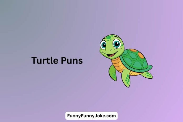 Turtle Puns