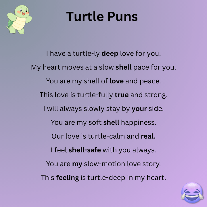 Turtle Puns Love