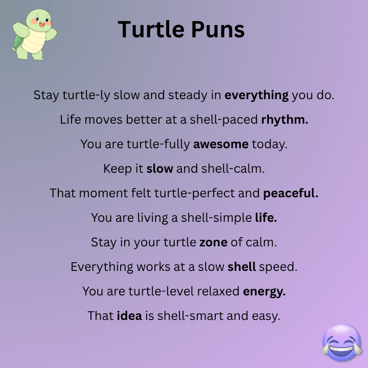 Turtle Puns One Liners