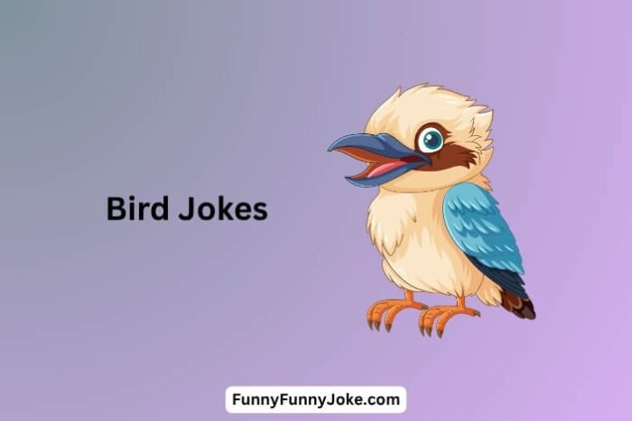 Bird Jokes